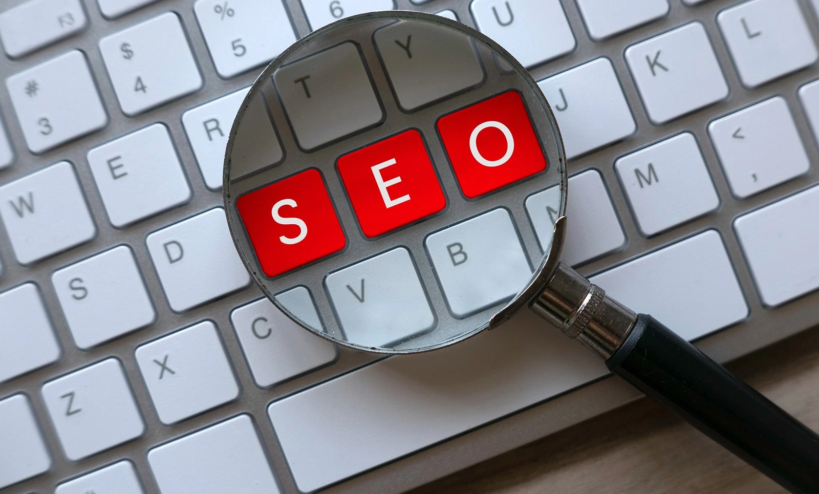 Why Every Business Needs SEO – Long-Term Growth & Success